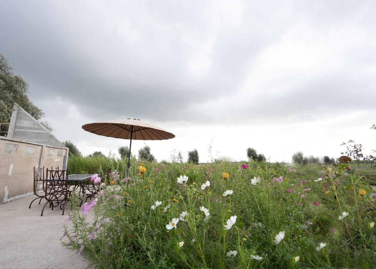 Landelijk Vakantiehuis In Diksmuide Met Een Tuin En Vijver Exterior photo